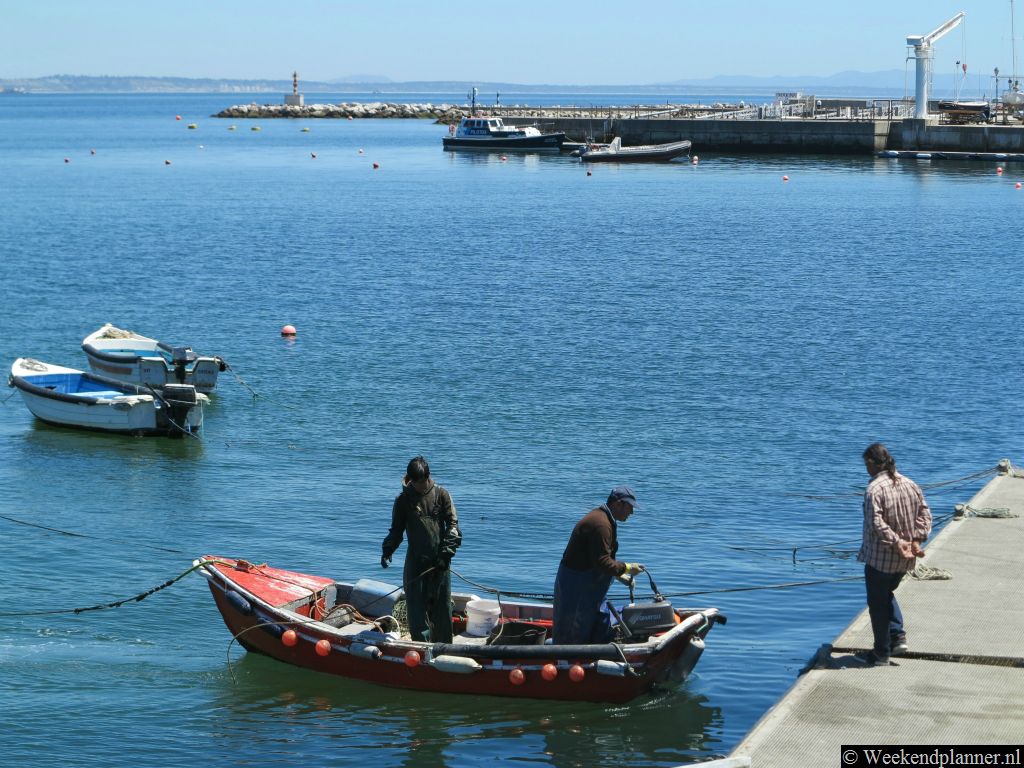 In de restaurants van Cascais kun je lekkere vis eten. De vis wordt vlakbij het strand Praia da Ribeira aan land gebracht.Tip: Leuke dingen doen in de buurt.